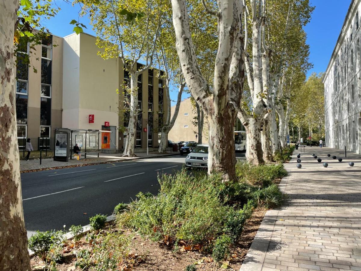 L'Eveche - T3 Spacieux & Traversant En Hypercentre Castres  Bagian luar foto