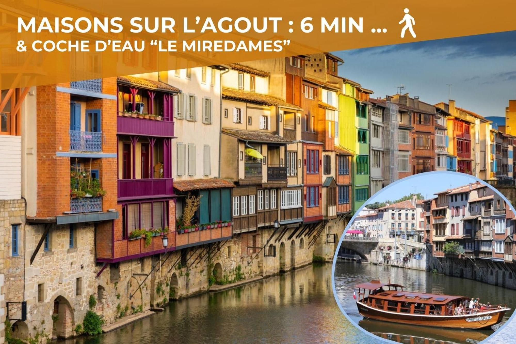 L'Eveche - T3 Spacieux & Traversant En Hypercentre Castres  Bagian luar foto
